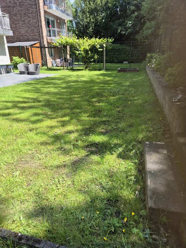 Rasenfläche vor der Neuanlage