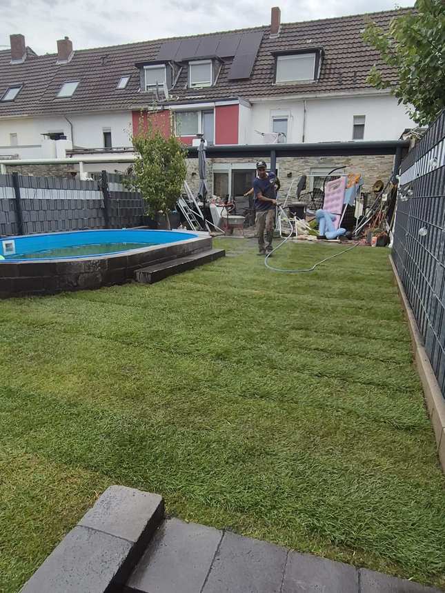 Bewässerung des frischen Rollrasens am Pool